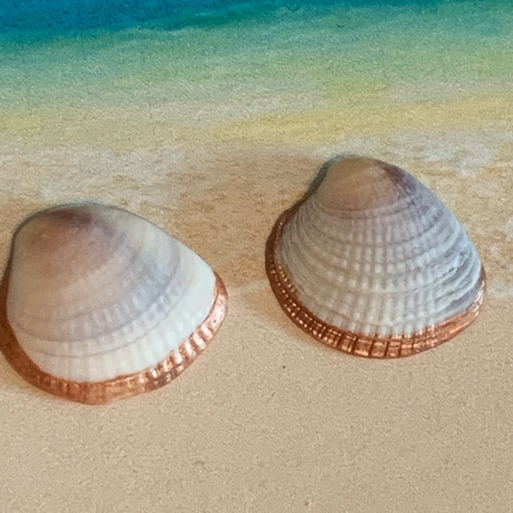 Hand-Crafted Shell Earrings